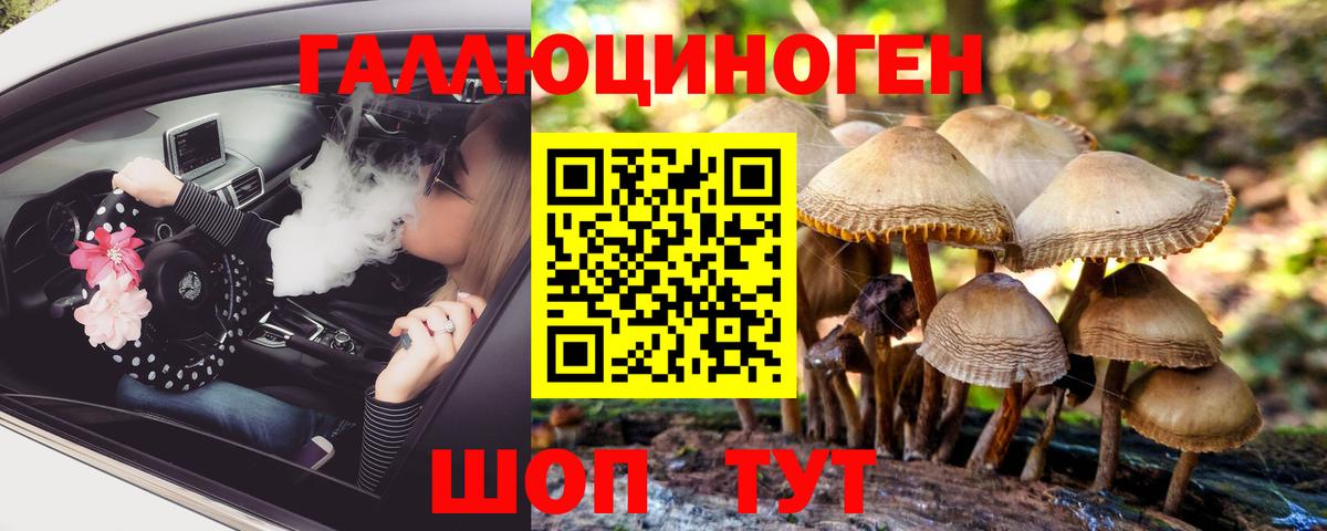 Новочеркасск  Галлюциногенные грибы ЛСД  Вход с VPN 